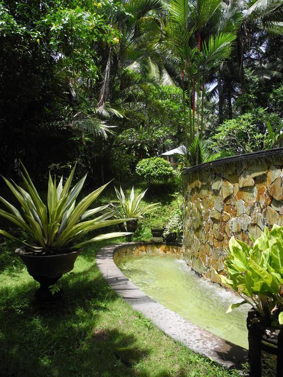 Villa Jineng Ubud By Basma Groups Zewnętrze zdjęcie