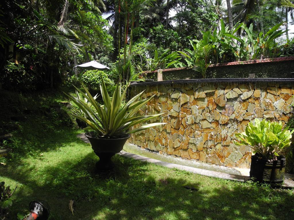 Villa Jineng Ubud By Basma Groups Zewnętrze zdjęcie