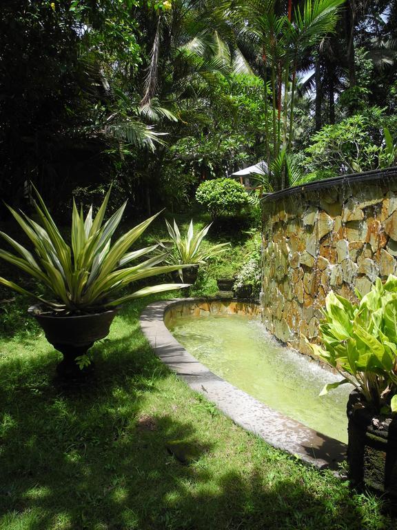 Villa Jineng Ubud By Basma Groups Zewnętrze zdjęcie